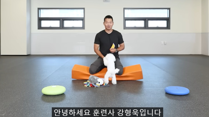 강형욱 훈련사 유튜브 채널 화면 캡처