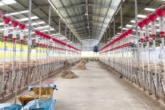 축산농가 모습. 정읍시 제공