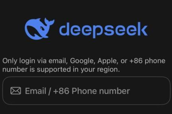 딥시크 홈페이지 캡처