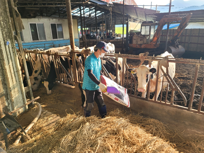 낙농헬퍼. 경남도청 제공 