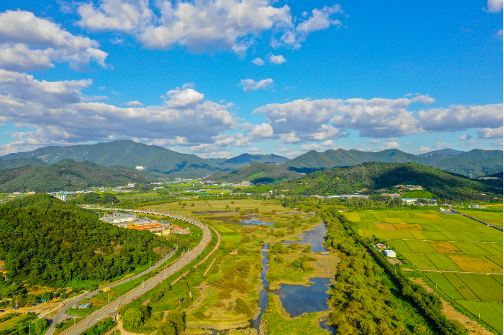 김해 화포천 여름. 김해시청 제공