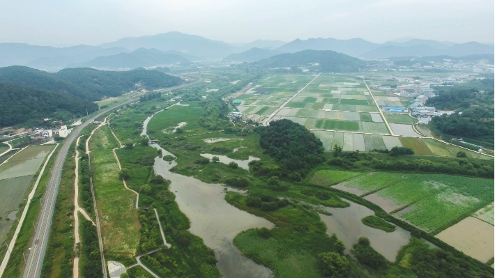 김해 화포천 봄. 김해시청 제공