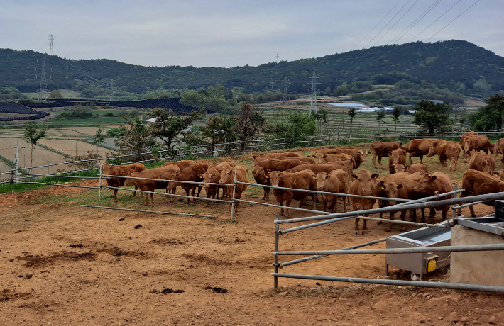 환경친화축산 사업 현장. 전남도 제공