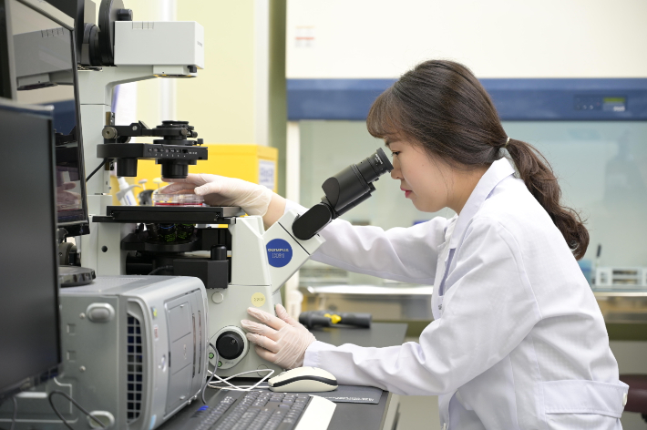 KGC인삼공사 제공