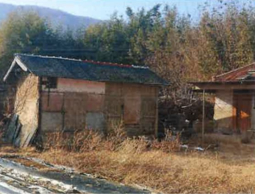 포항시 북구청 제공