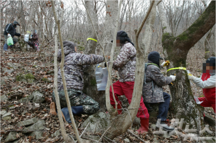 포항CBS 자료사진