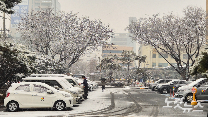 12일 대구에 3cm가 넘는 눈이 내렸다. 정진원 기자