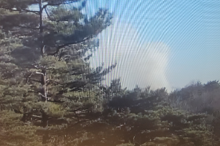 강원 동해안 지역에 건조·강풍 특보가 발효된 가운데 13일 오후 강릉시 주문진에서 주택화재로 비화된 산불이 30여분 만에 진화됐다. 동부지방산림청 제공