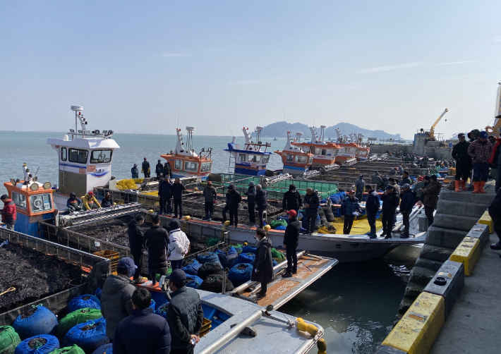 전남 진도군이 침체한 물김 산업을 활성화하기 위해 약 6억 원을 긴급 투입한다. 진도군 제공