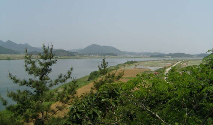 전라남도는 올해 영산강에 유입되는 지류·지천의 수질오염원을 체계적으로 관리하고 강 하류 녹조 발생을 억제하기 위해 환경기초시설 확충 등 영산강 수질개선 사업에 1733억 원을 집중 투자한다. 전남도 제공