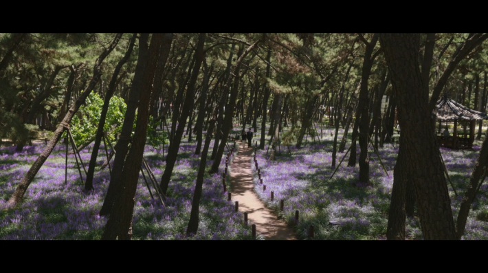 나의 완벽한 비서 드라마 속 장면으로 송도송림테마거리 내 맥문동이 만발한 거리를 두 주인공이 걷고 있다. 포항시 제공