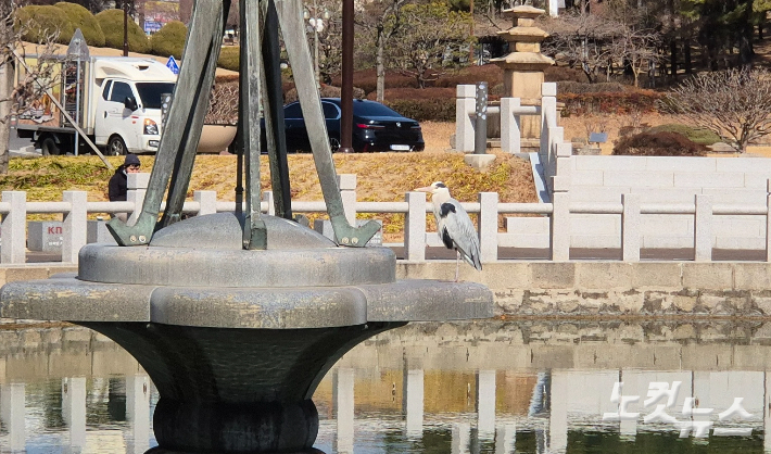 일청담 분수대 위에서 백로가 휴식을 취하고 있다. 분수대 아래로 연못 물이 보인다. 이재기 기자