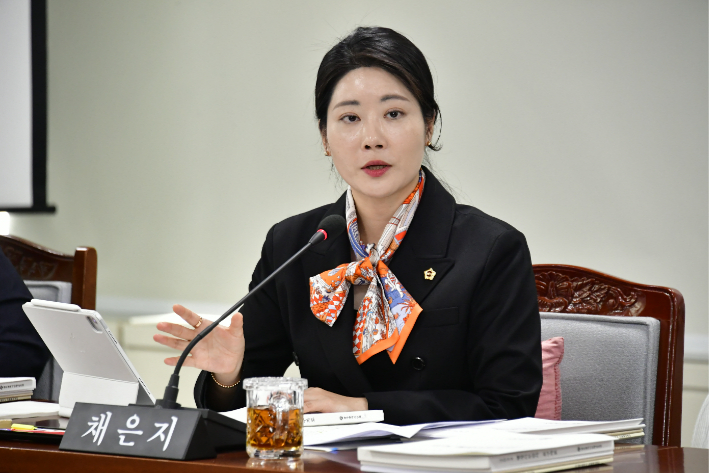 채은지 광주시의원, 상임위 활동 모습. 광주시의회 제공