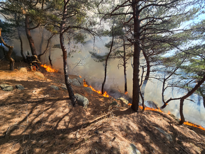 19일 오전 10시 44분쯤 강원 고성군 죽왕면 문암진리 인근 야산에 불이 나 30여분 만에 진화됐다. 동부지방산림청 제공
