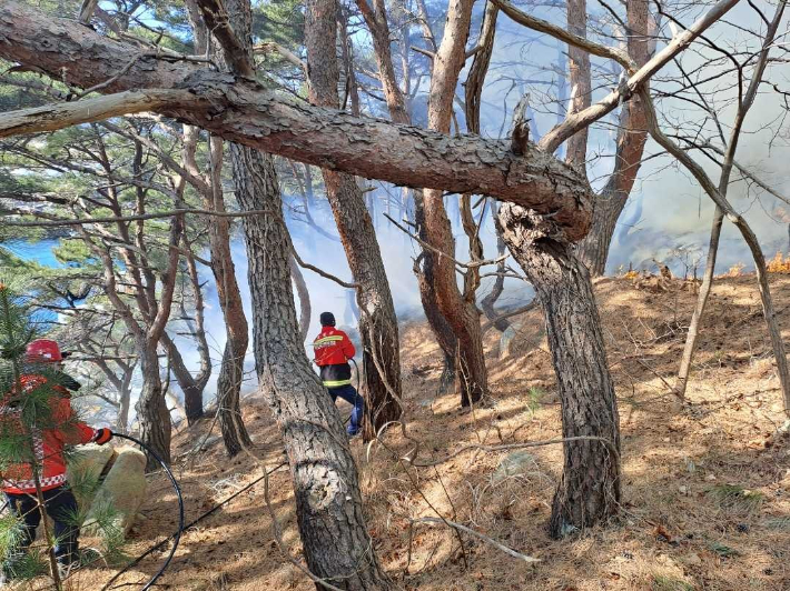 19일 오전 10시 44분쯤 강원 고성군 죽왕면 문암진리 인근 야산에 불이 나 30여분 만에 진화됐다. 동부지방산림청 제공
