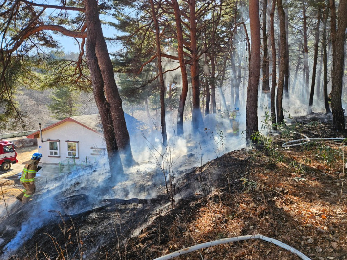 19일 오전 10시 44분쯤 강원 고성군 죽왕면 문암진리 인근 야산에 불이 나 30여분 만에 진화됐다. 동부지방산림청 제공