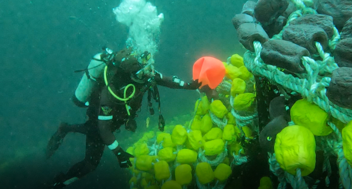수중수색 모습. 제주해양경찰서 제공