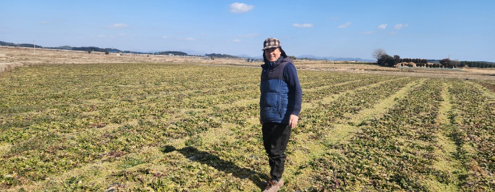 친환경 농산물 유기농 시금치를 재배하고 있는 임흥옥씨. 전남도 제공