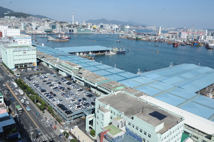 부산공동어시장 전경. 부산공동어시장 제공