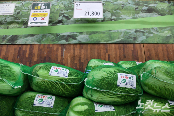 서울 한 대형마트 채소 코너의 모습. 박종민 기자