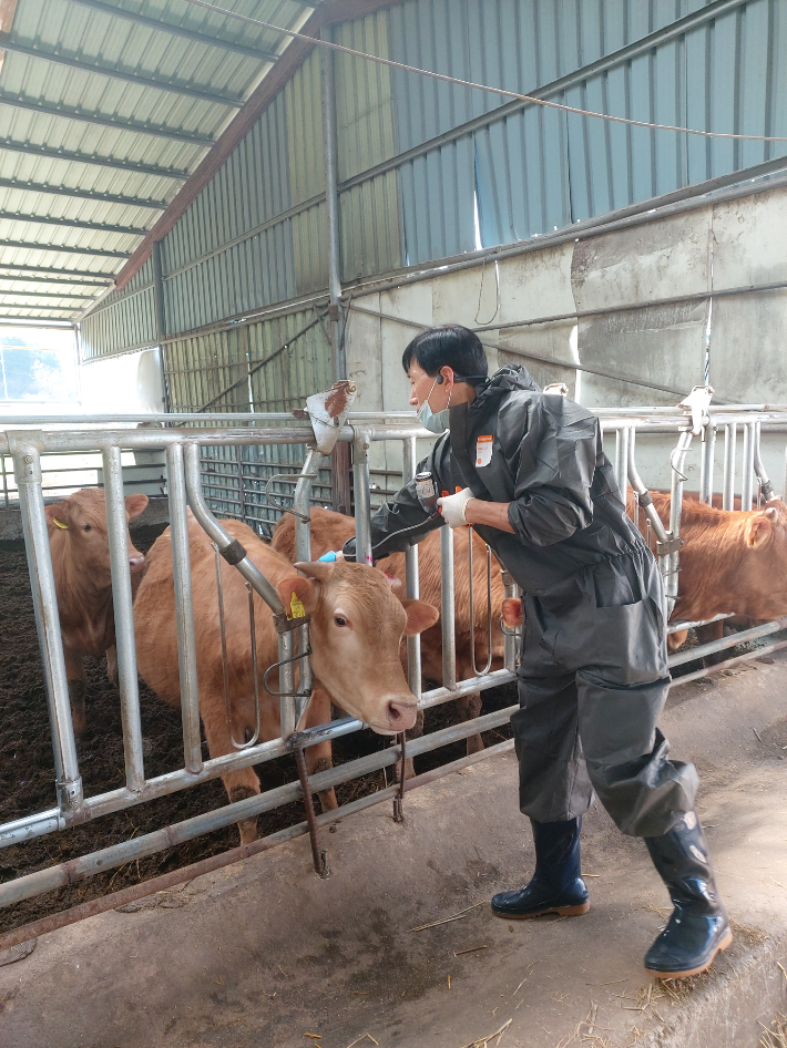 백신 접종 사진. 전남도 제공
