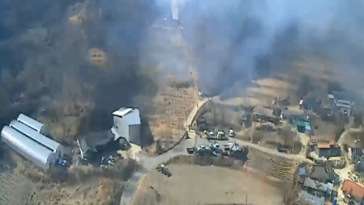 안동 산불 모습. 산림청 제공