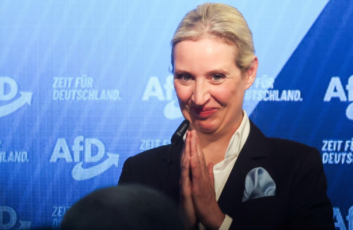 알리스 바이델 AfD 공동대표. 연합뉴스