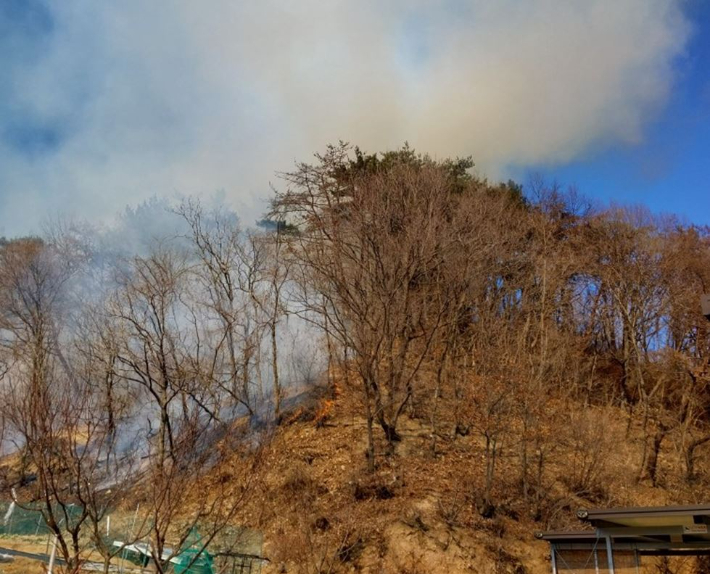 경주 양남면 산불. 경북소방본부 제공