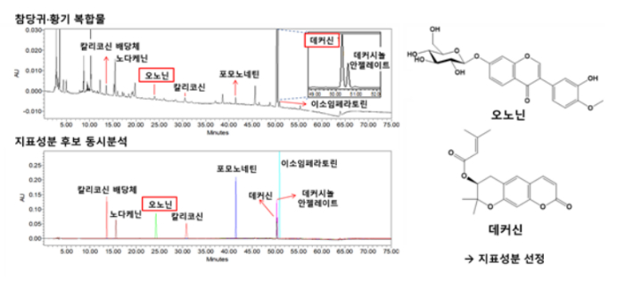 참당귀, 황기 복합물의 지표성분 분석. 농진청 제공