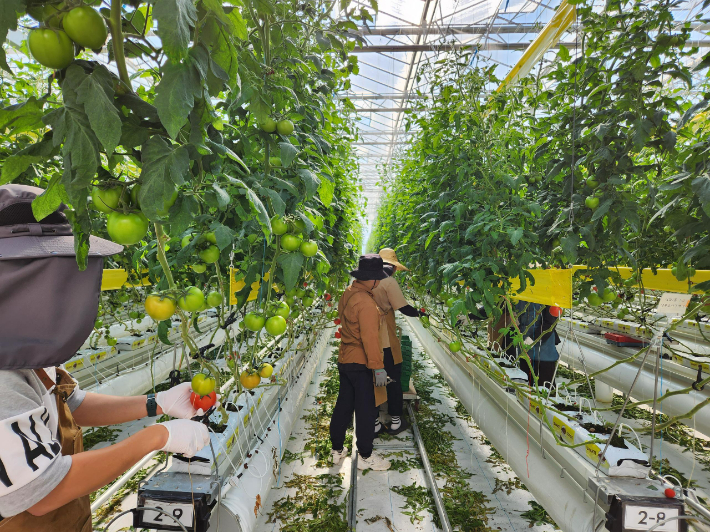 스마트팜. 경남도청 제공 