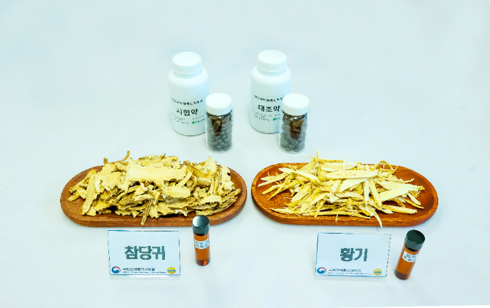 참당귀‧황기 절편과 인체적용시험 약. 농진청 제공