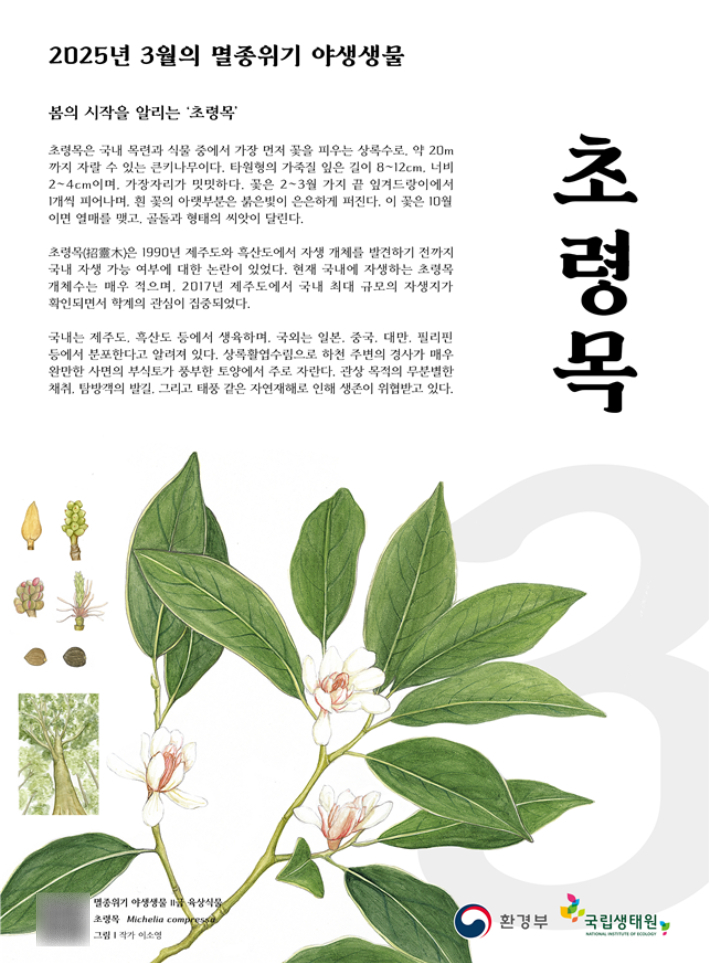 3월의 멸종위기 야생생물 포스터. 환경부 제공