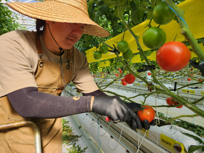 청년 농업인. 경남도청 제공 