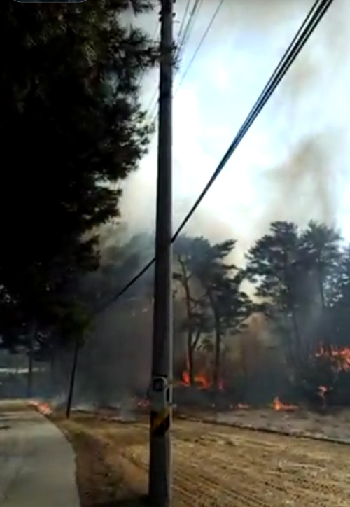 울진 현장 산불 모습. 산림청 제공