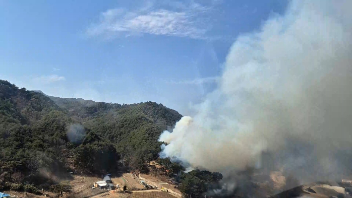 울진 산불 현장 모습. 산림청 제공