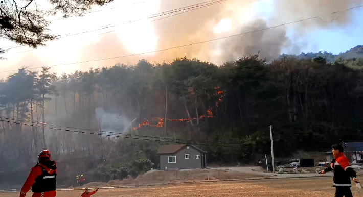 울진 산불 현장 모습. 산림청 제공