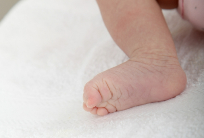 스마트이미지 제공 