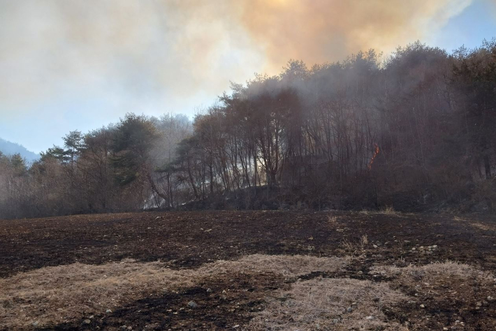 28일 오후 1시 40분쯤 경북 봉화 명호면의 한 야산에서 불이 났다. 경북소방본부 제공
