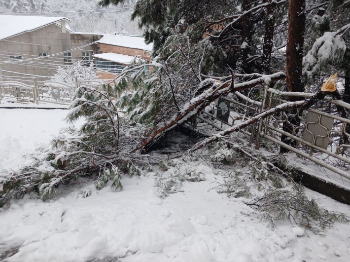 안동시 서후면 폭설 피해 현장. 경북도 소방본부 제공