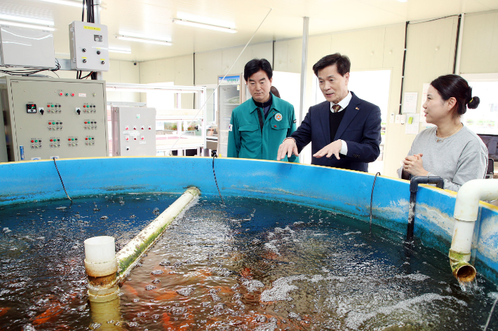 지난달 28일 안병구 밀양시장이 플로우팜 이아름 대표가 운영하는 상동면 가곡리의 샐러드채소 스마트팜 친환경재배시설을 방문해 견학하고 있다. 밀양시 제공