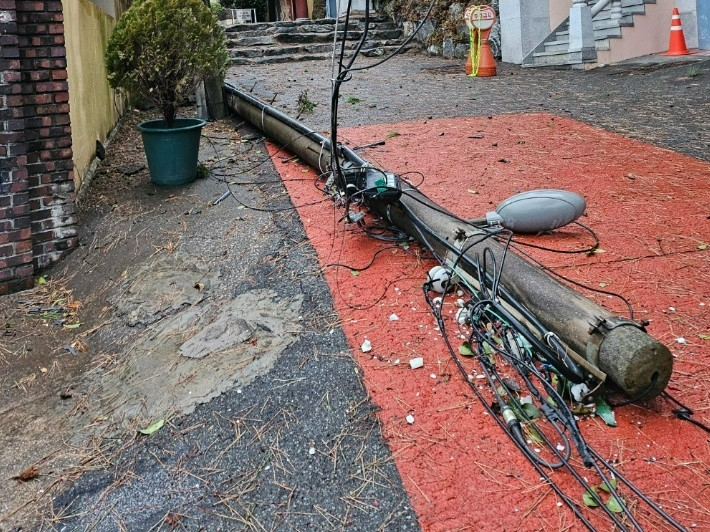 3일 오전 8시 45분쯤 부산 해운대구의 한 주택가에서 전봇대가 쓰러진 모습. 부산소방재난본부 제공