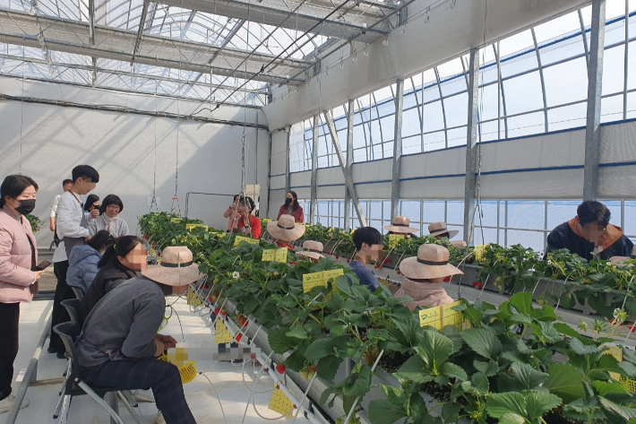 광주광역시 제공