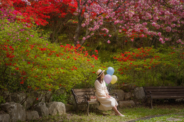 전주 완산 칠봉 꽃동산. 전주시 제공