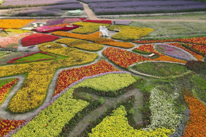 고창읍성과 자연마당을 연결하는 고창 꽃 정원. 전북도 제공