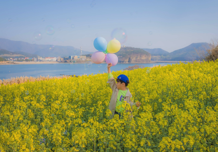 부안 수성당 주변 유채꽃밭. 전북도 제공