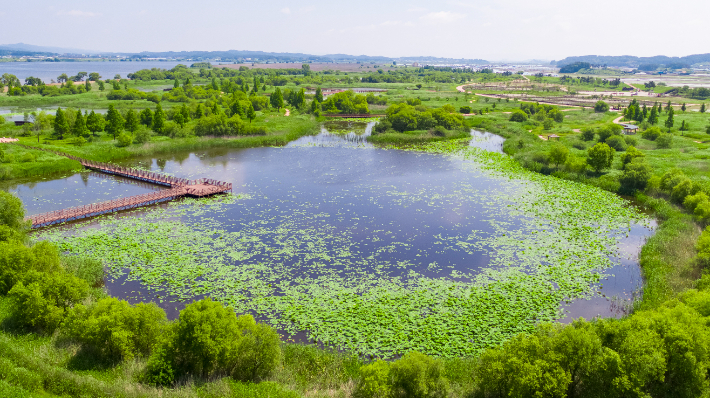 익산-용안생태습지 전경. 익산시 제공
