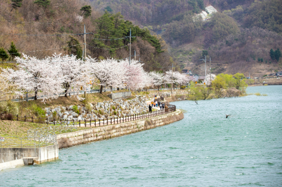 증평 삼기저수지 수변산책로. 증평군 제공