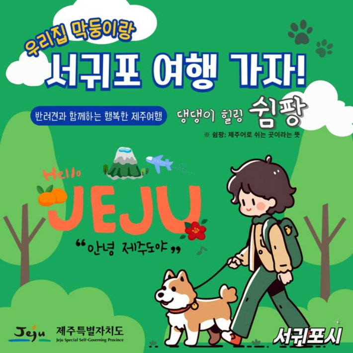 제주 서귀포시가 고향사랑기부제 지정기부사업으로 추진하는 반려견 제주여행 프로젝트가 전국 최단기간 목표금액 달성 실적을 냈다. 서귀포시 제공