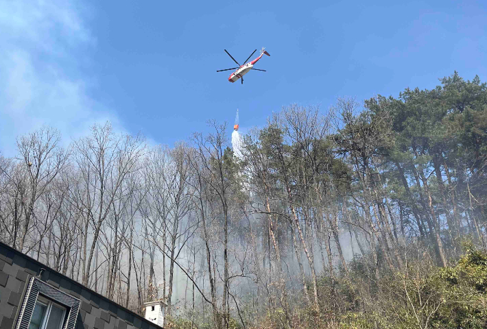11일 오전 11시 24분쯤 강원 삼척시 평전동의 한 사유림에서 불이 나 출동한 진화대원 등에 의해 1시간여 만에 꺼졌다. 강원소방본부 제공