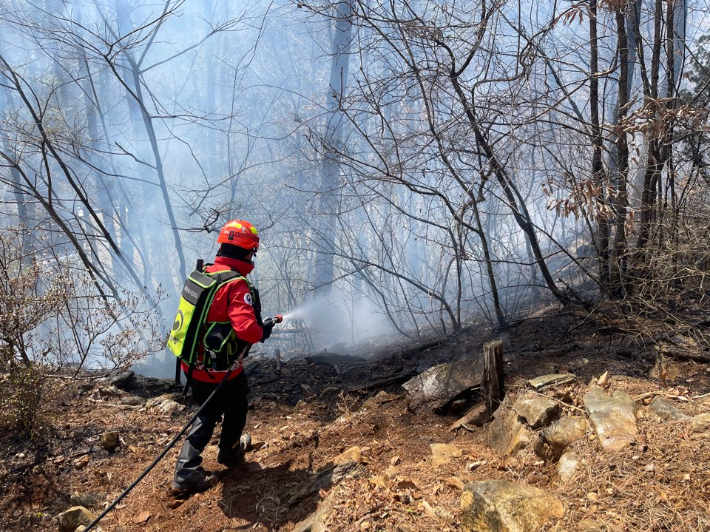 11일 오전 11시 24분쯤 강원 삼척시 평전동의 한 사유림에서 불이 나 출동한 진화대원 등에 의해 1시간여 만에 꺼졌다. 동부지방산림청 제공